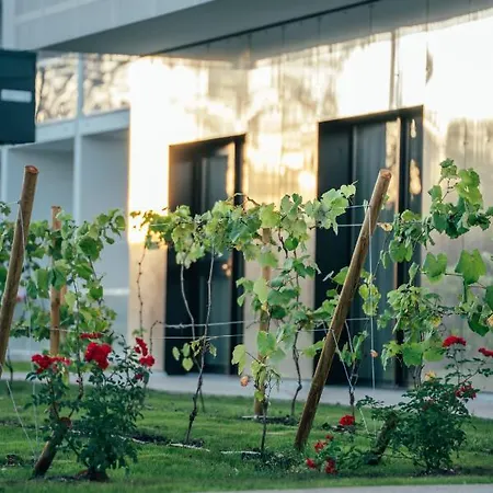 - Bordeaux-merignac By Ihg Hotel 4*