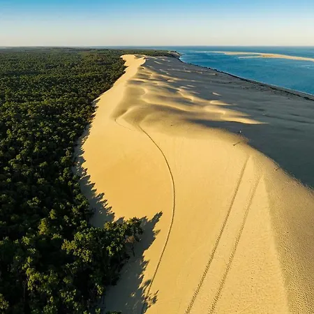 Hotel - Bordeaux-merignac By Ihg 4*